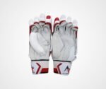 Signature Batting Gloves - Image 3