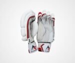 Signature Batting Gloves - Image 4