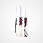 A3 Sports Signature Edition English Willow Cricket Bat