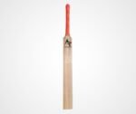 Technic Training Bat (Middling Bat)