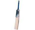 CA Pro 10000 Premium English Willow Bat - Image 2