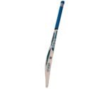 CA Pro 10000 Premium English Willow Bat - Image 3