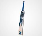 CA Pro 10000 Premium English Willow Bat