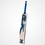 CA Pro 10000 Premium English Willow Bat