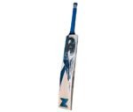 CA Pro 10000 Premium English Willow Bat