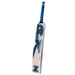 CA Pro 10000 Premium English Willow Bat