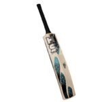 HS Vision 20K Heavy Tennis Ball Bat