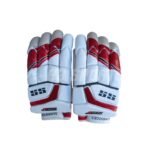 SS Pro Premium Batting Gloves