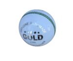 A3 Sports Cricket Ball for Practice - Gold