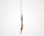 DSC Premium English Willow Cricket Bat - Image 5