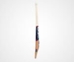 DSC Premium English Willow Cricket Bat - Image 6