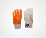 DSC Pro Padded WK inner Gloves