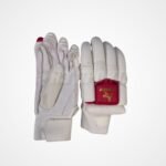 A3 Sports Professional Batting Gloves