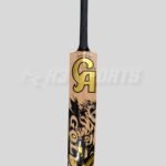 CA Gold Lion Tennis Ball Bat